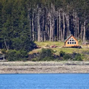 Reasons to Live Off the Grid and Become Self-Reliant
