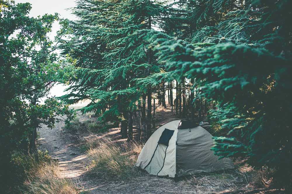 Tent in the Woods